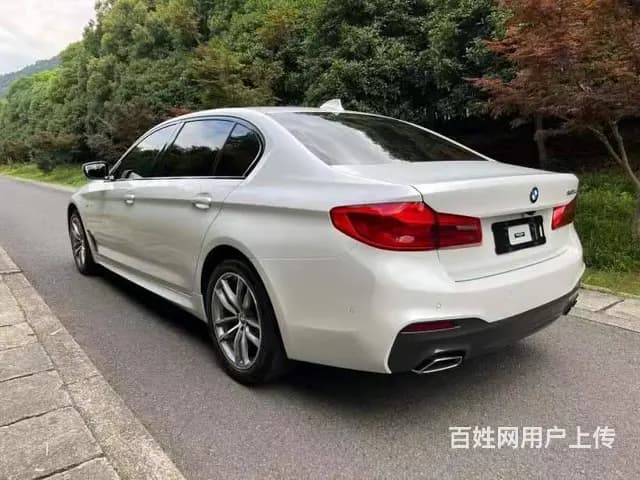 宝马5系 2019款 525Li 2.0T 手自一体 豪华套 - 图片 10